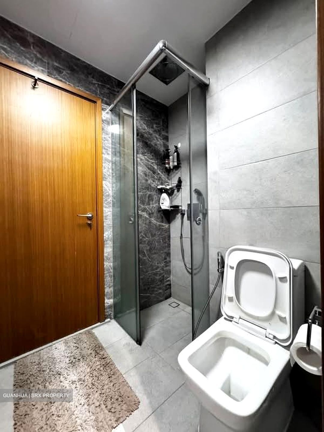 Spottiswoode Residences (D2), Condominium #586665021